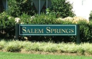 salem-springs-homes-denver-nc-north-carolina