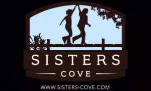 sisters-cove-lake-norman-homes-mooresville-nc-new-construction